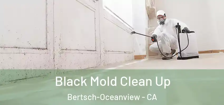  Black Mold Clean Up Bertsch-Oceanview - CA