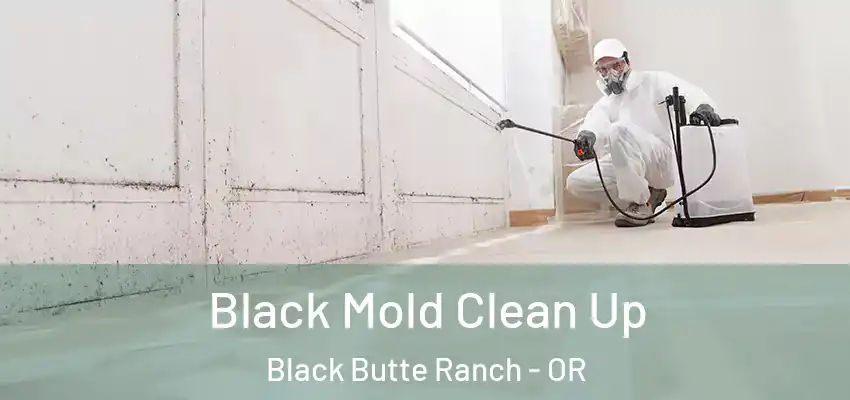  Black Mold Clean Up Black Butte Ranch - OR