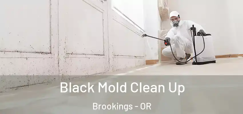  Black Mold Clean Up Brookings - OR