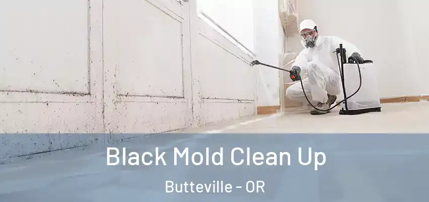  Black Mold Clean Up Butteville - OR