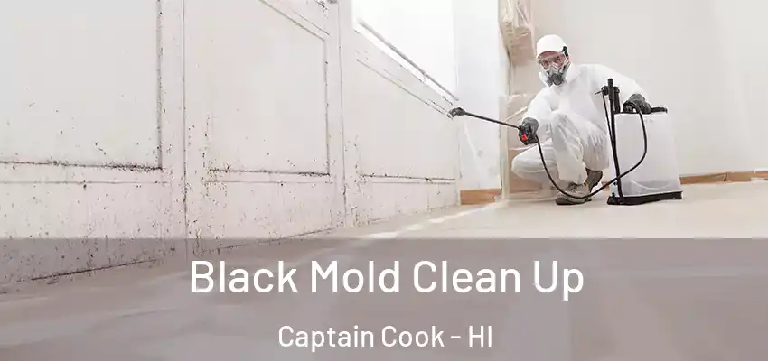  Black Mold Clean Up Captain Cook - HI
