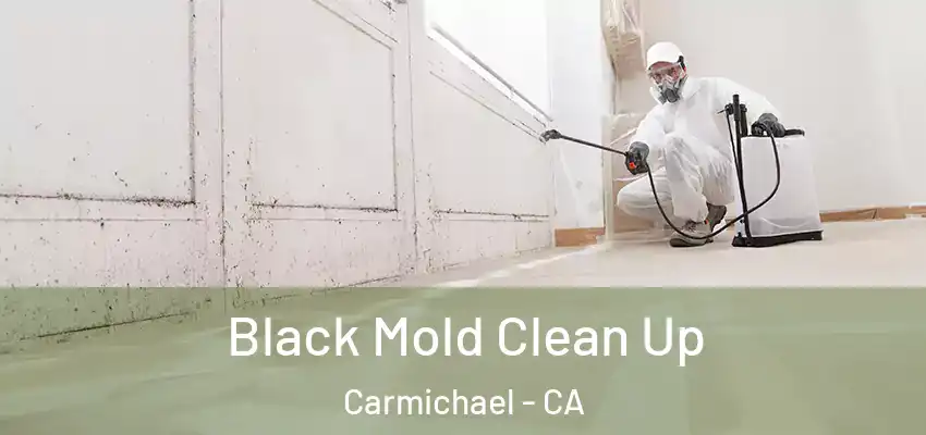  Black Mold Clean Up Carmichael - CA