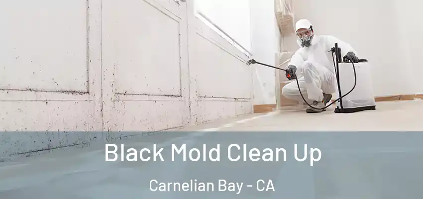  Black Mold Clean Up Carnelian Bay - CA