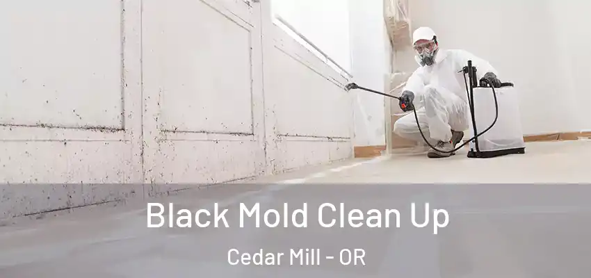  Black Mold Clean Up Cedar Mill - OR