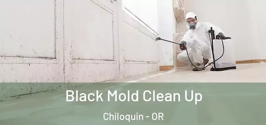  Black Mold Clean Up Chiloquin - OR