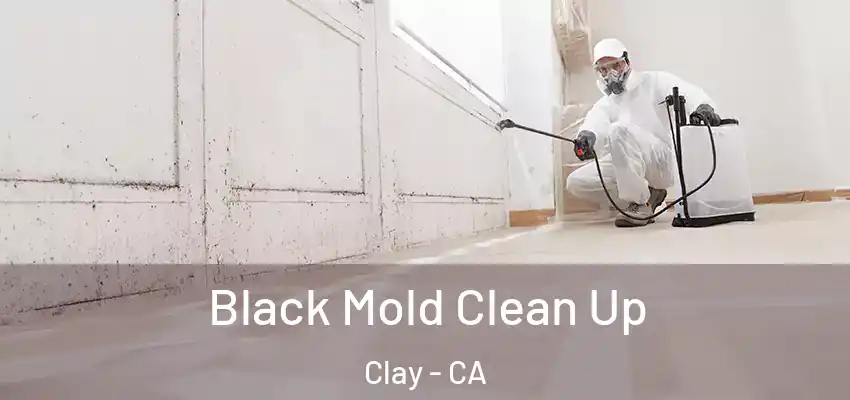  Black Mold Clean Up Clay - CA