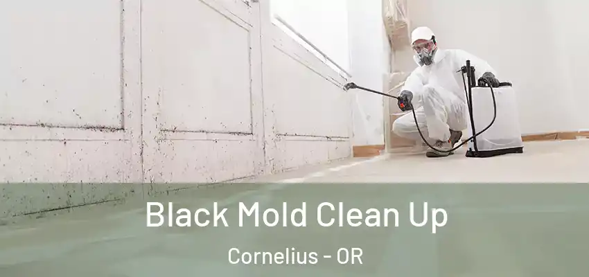  Black Mold Clean Up Cornelius - OR