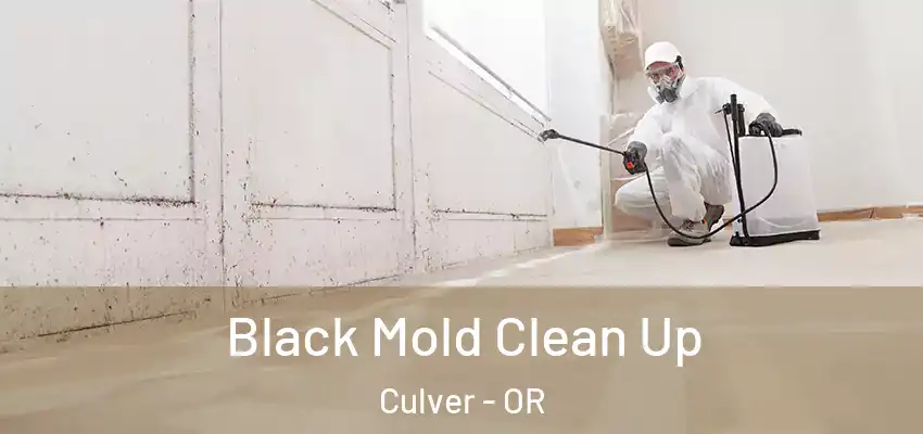  Black Mold Clean Up Culver - OR