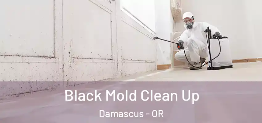  Black Mold Clean Up Damascus - OR