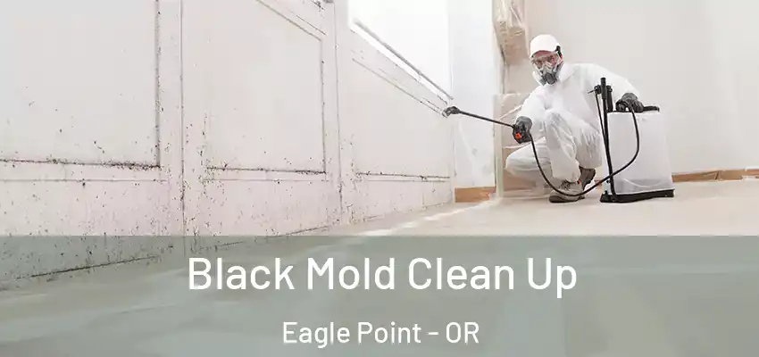  Black Mold Clean Up Eagle Point - OR