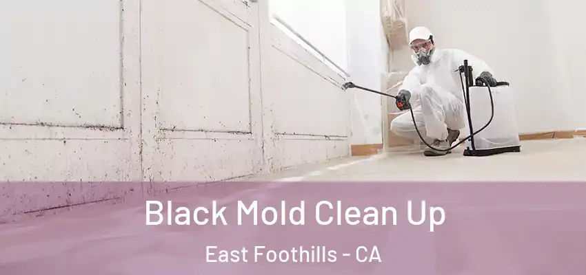  Black Mold Clean Up East Foothills - CA