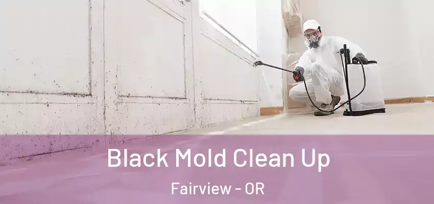  Black Mold Clean Up Fairview - OR