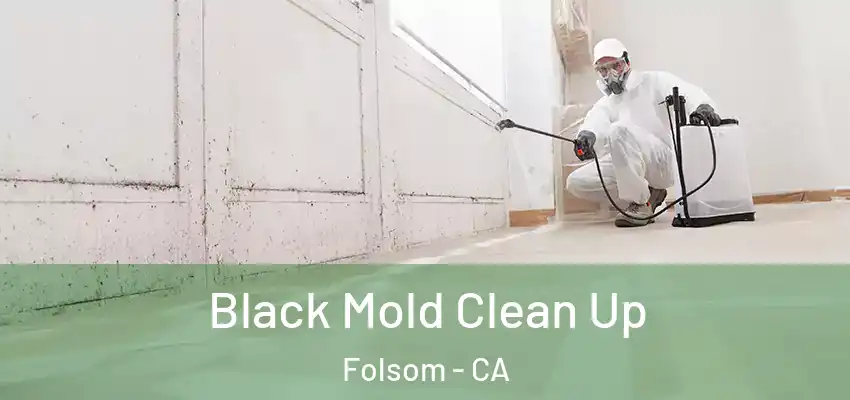  Black Mold Clean Up Folsom - CA