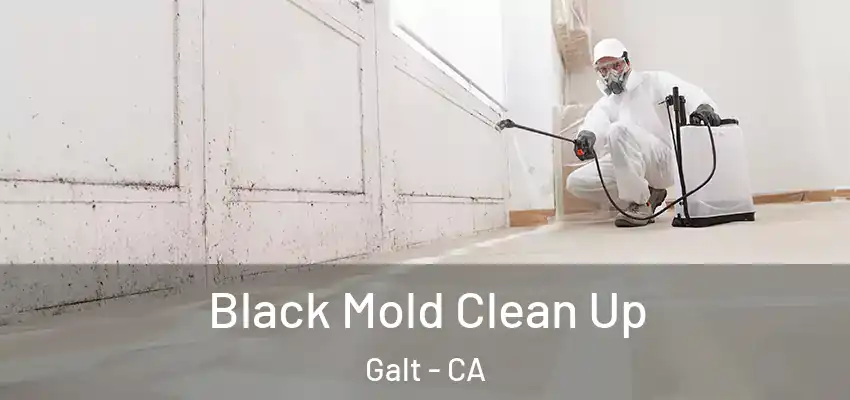  Black Mold Clean Up Galt - CA