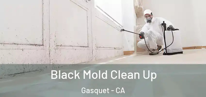  Black Mold Clean Up Gasquet - CA