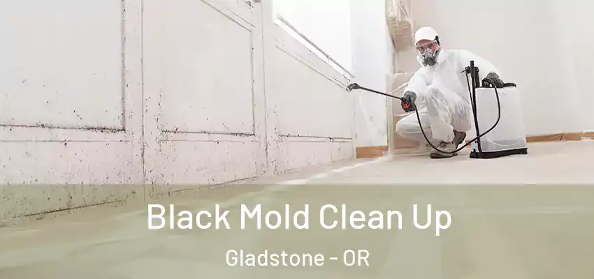  Black Mold Clean Up Gladstone - OR