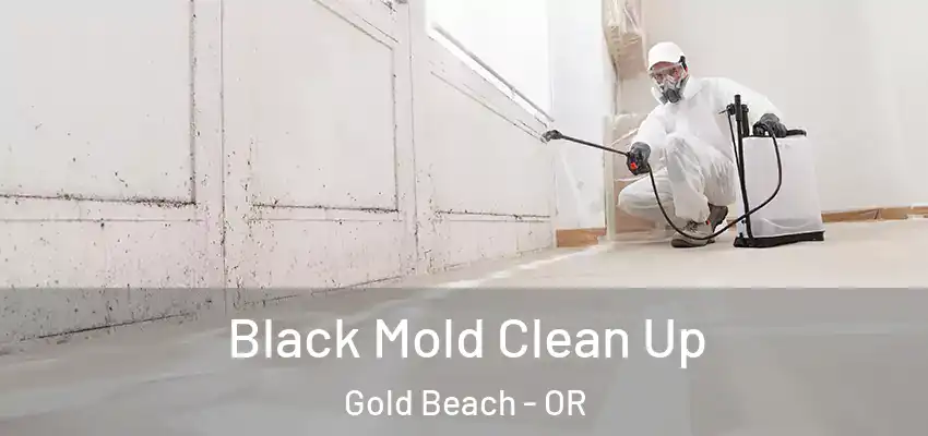  Black Mold Clean Up Gold Beach - OR