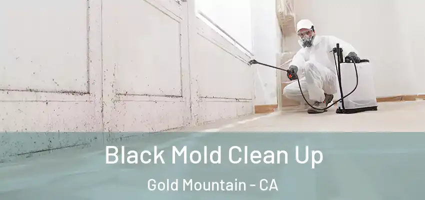  Black Mold Clean Up Gold Mountain - CA