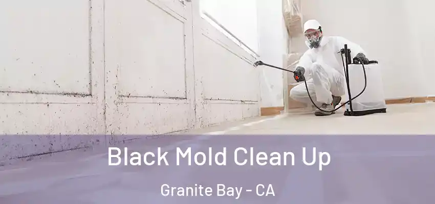  Black Mold Clean Up Granite Bay - CA