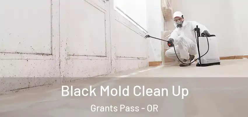  Black Mold Clean Up Grants Pass - OR