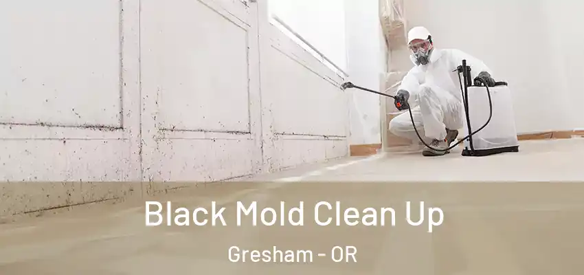  Black Mold Clean Up Gresham - OR