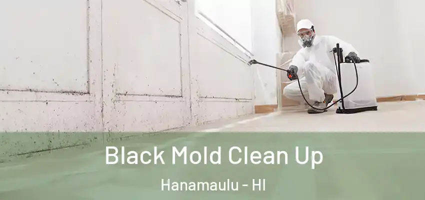  Black Mold Clean Up Hanamaulu - HI
