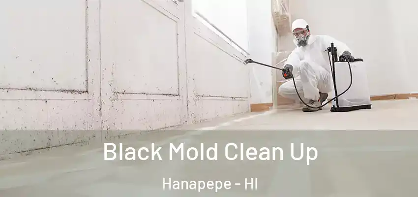 Black Mold Clean Up Hanapepe - HI