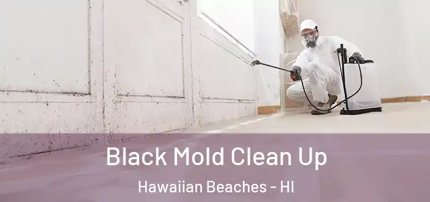  Black Mold Clean Up Hawaiian Beaches - HI
