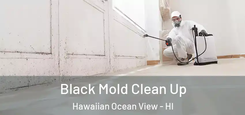  Black Mold Clean Up Hawaiian Ocean View - HI