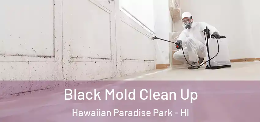  Black Mold Clean Up Hawaiian Paradise Park - HI