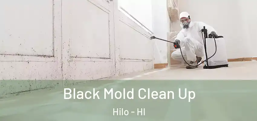 Black Mold Clean Up Hilo - HI