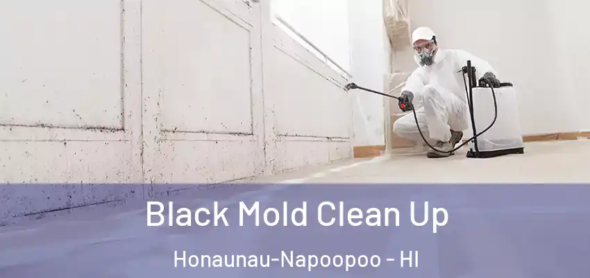  Black Mold Clean Up Honaunau-Napoopoo - HI