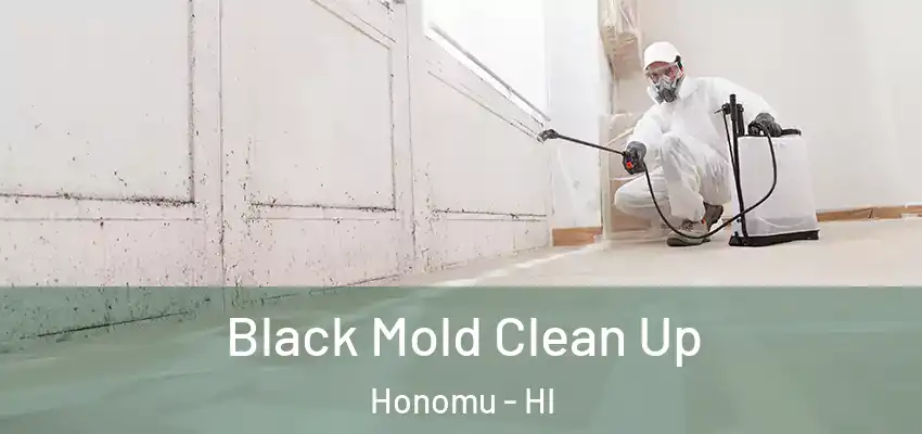  Black Mold Clean Up Honomu - HI