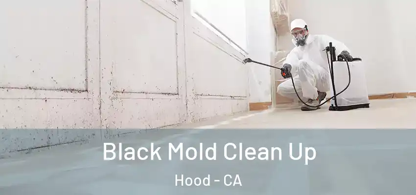  Black Mold Clean Up Hood - CA