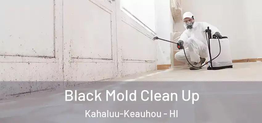  Black Mold Clean Up Kahaluu-Keauhou - HI