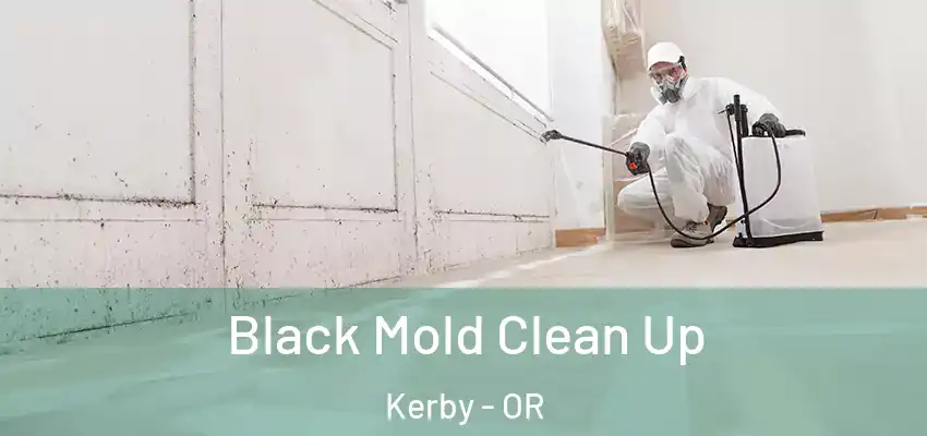  Black Mold Clean Up Kerby - OR