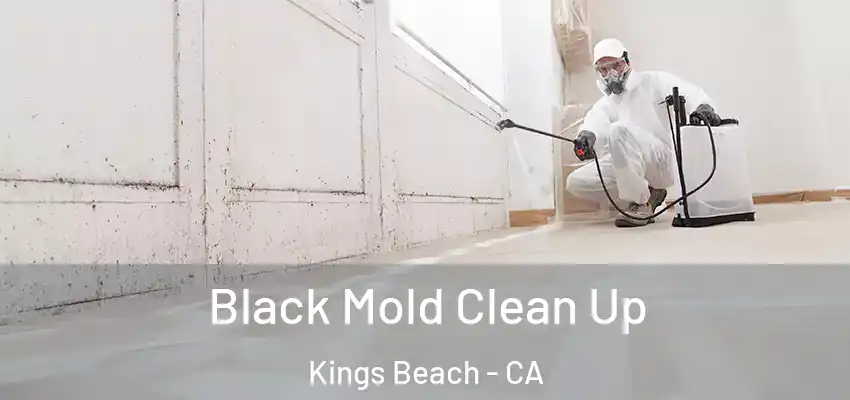 Black Mold Clean Up Kings Beach - CA