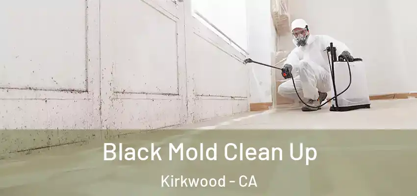 Black Mold Clean Up Kirkwood - CA