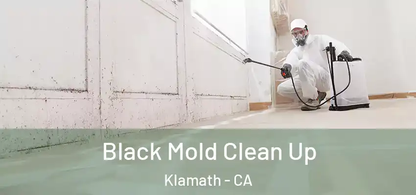  Black Mold Clean Up Klamath - CA