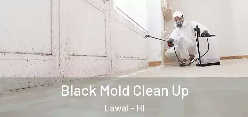  Black Mold Clean Up Lawai - HI