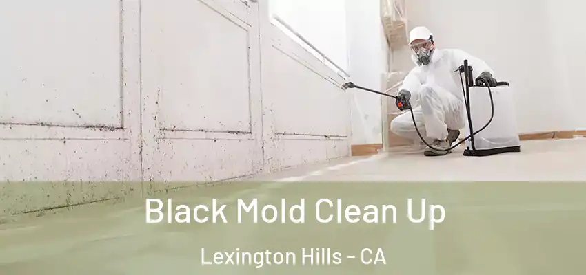  Black Mold Clean Up Lexington Hills - CA
