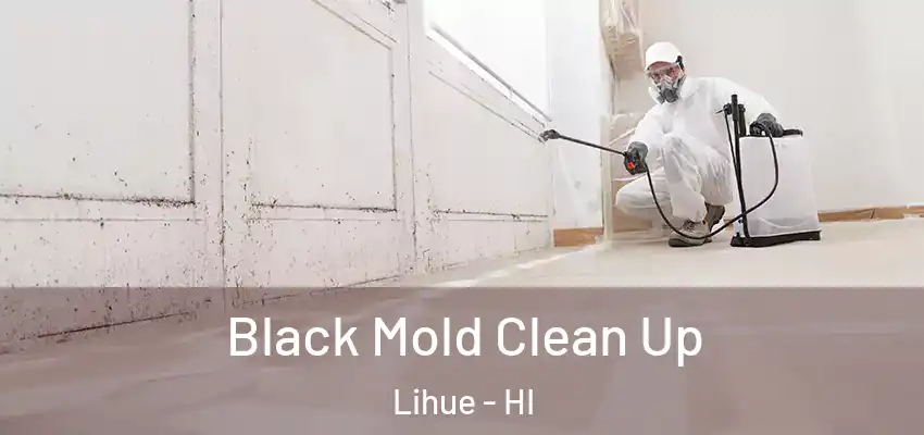  Black Mold Clean Up Lihue - HI