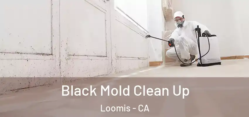  Black Mold Clean Up Loomis - CA