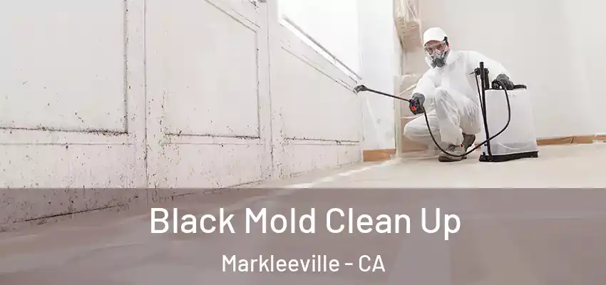  Black Mold Clean Up Markleeville - CA