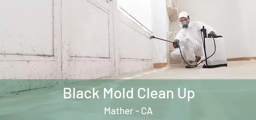  Black Mold Clean Up Mather - CA