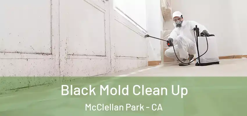 Black Mold Clean Up McClellan Park - CA