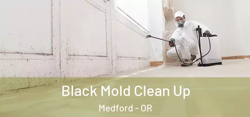  Black Mold Clean Up Medford - OR