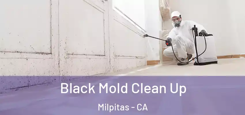  Black Mold Clean Up Milpitas - CA