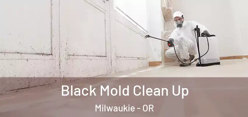  Black Mold Clean Up Milwaukie - OR