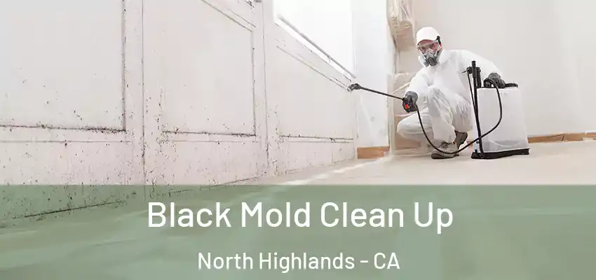  Black Mold Clean Up North Highlands - CA